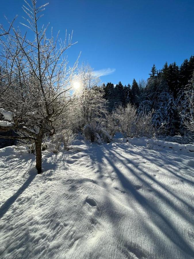 L'Ermitage De Meyriat Villa Brenod Kültér fotó
