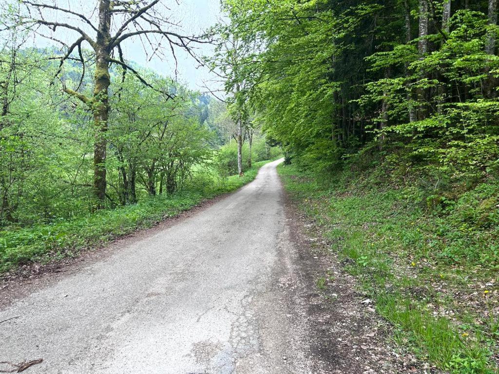 L'Ermitage De Meyriat Villa Brenod Kültér fotó